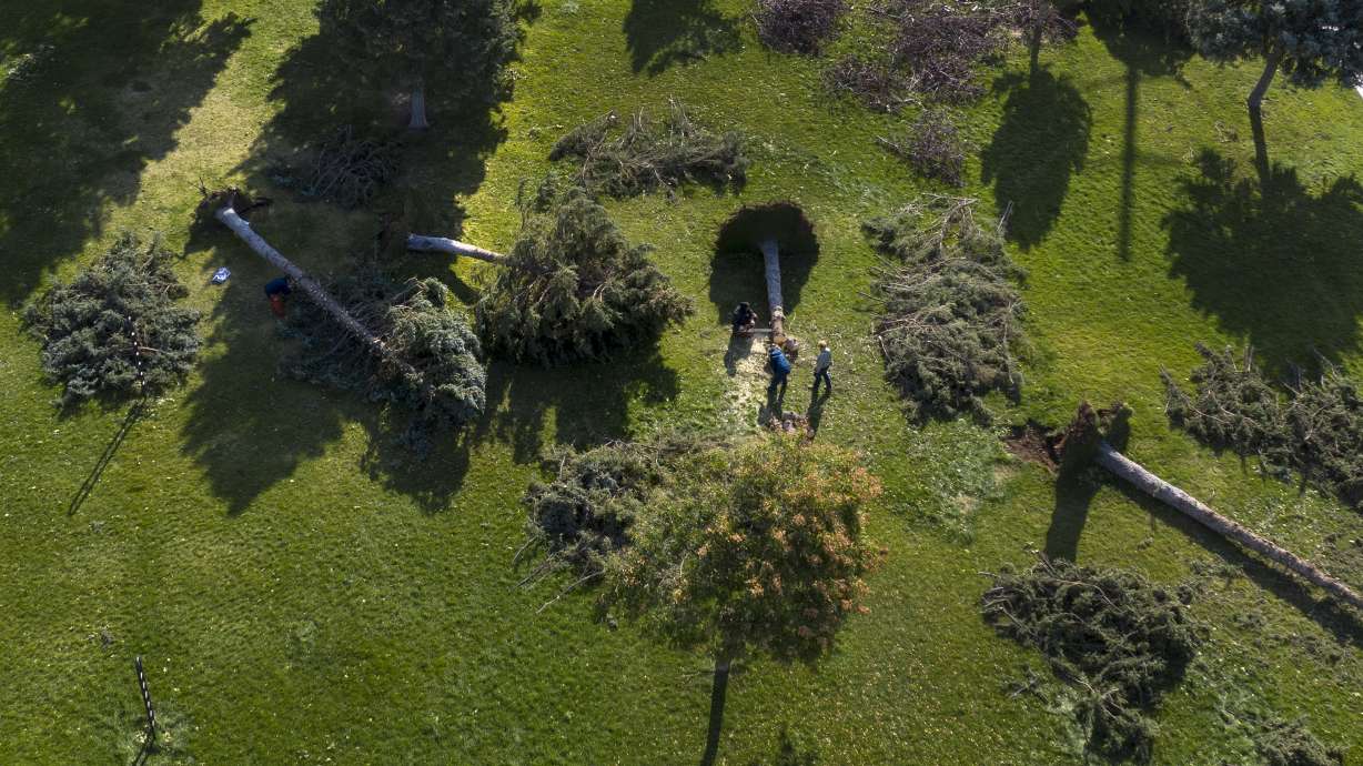 Salt Lake City crews clean up trees that were toppled by high winds at Sunnyside Park in Salt Lake City on Sept. 9, 2020. Upgrades to the park are among the projects that could be funded through a second tranche of the city's $85 million parks bond.