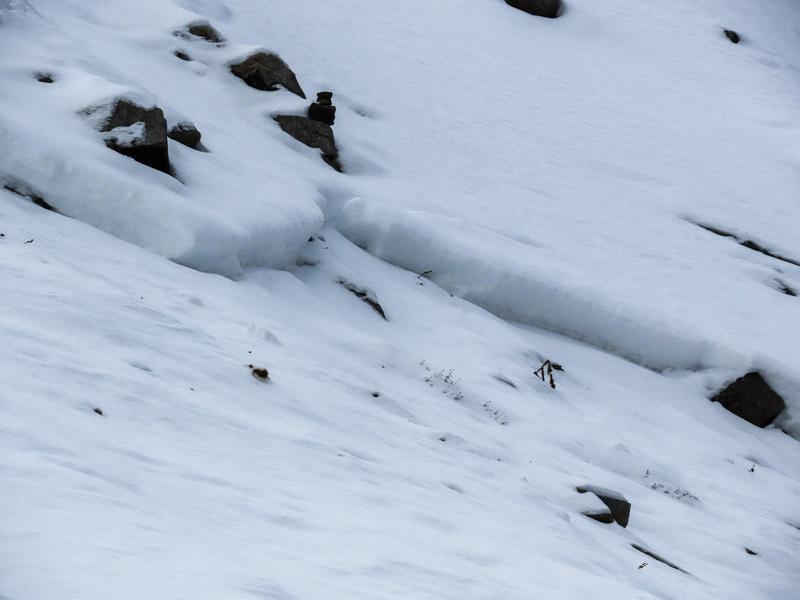 Recent avalanche highlights Utah's risk despite low snow levels 