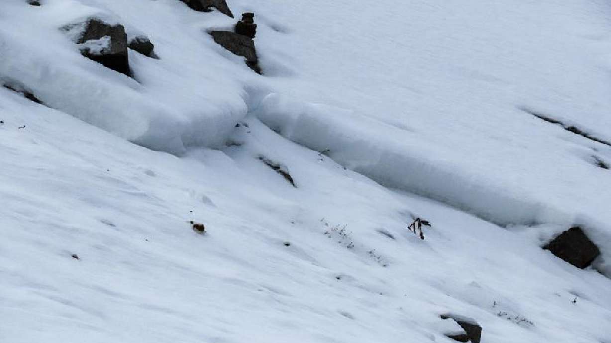 Snow within the Red Pine Lake drainage area of Little Cottonwood Canyon is pictured on Monday. The Utah Avalanche Center said a human-triggered avalanche occurred in the area despite the region's low snowfall so far this season, highlighting risks.