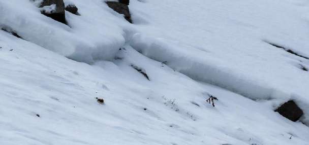 Recent avalanche highlights Utah's risk despite low snow levels