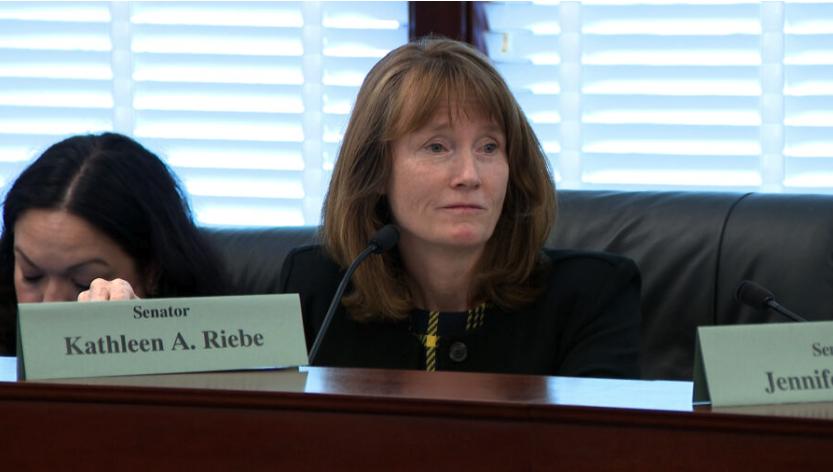 State Sen. Kathleen Riebe, D-Cottonwood Heights, is pictured during a legislative hearing. Riebe has announced her candidacy for Utah's new first congressional district.