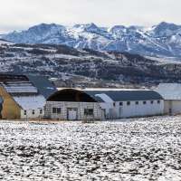 Northern Utah farm reaches agreement to lease quarter of its water to Great Salt Lake