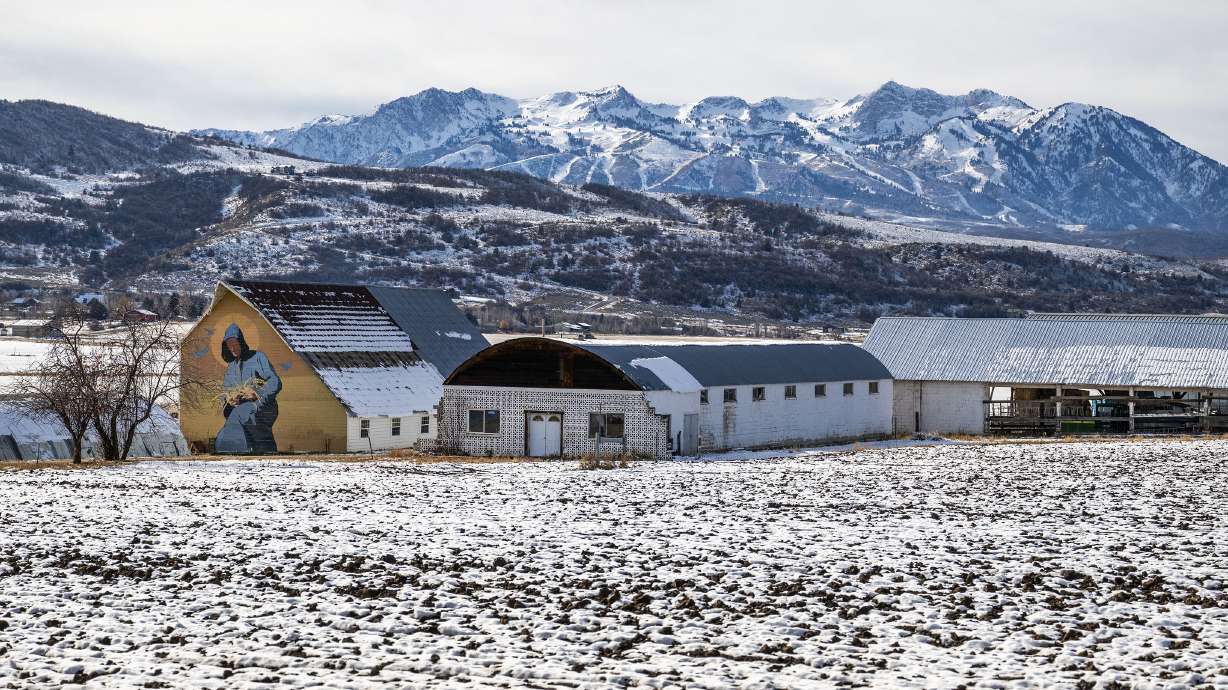 The Historic Monastery Farm in Huntsville, Weber County, on Nov. 25, 2024. The farm is slated to direct about a quarter of its water to the Great Salt Lake as part of a agreement announced Tuesday.