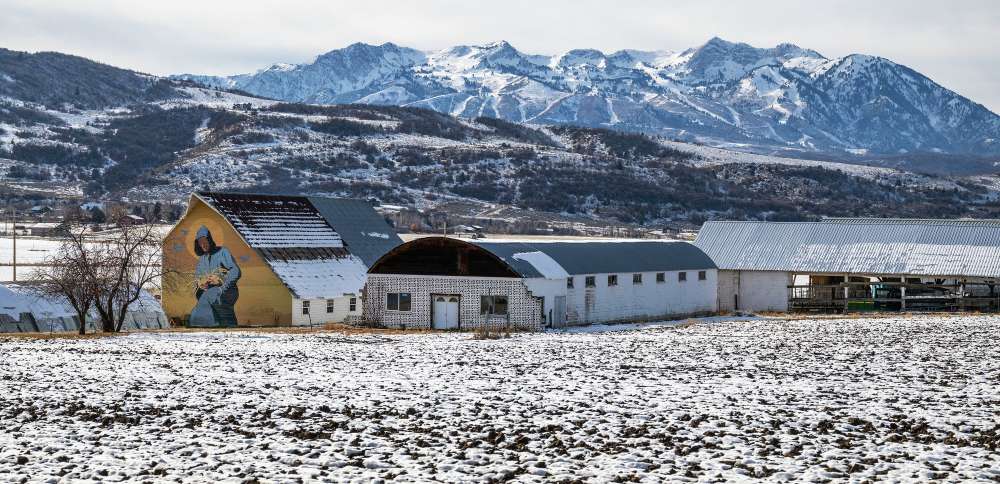 Northern Utah farm reaches agreement to lease quarter of its water to Great Salt Lake