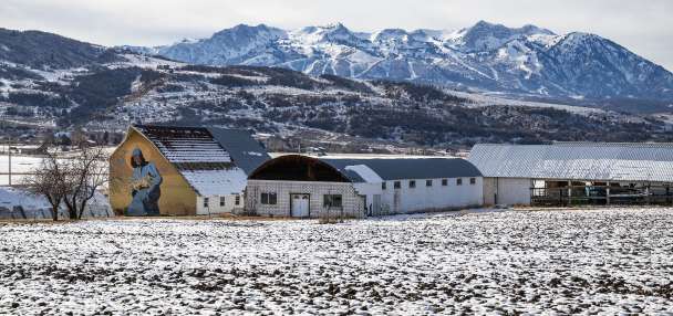 Top Outdoors story anchor