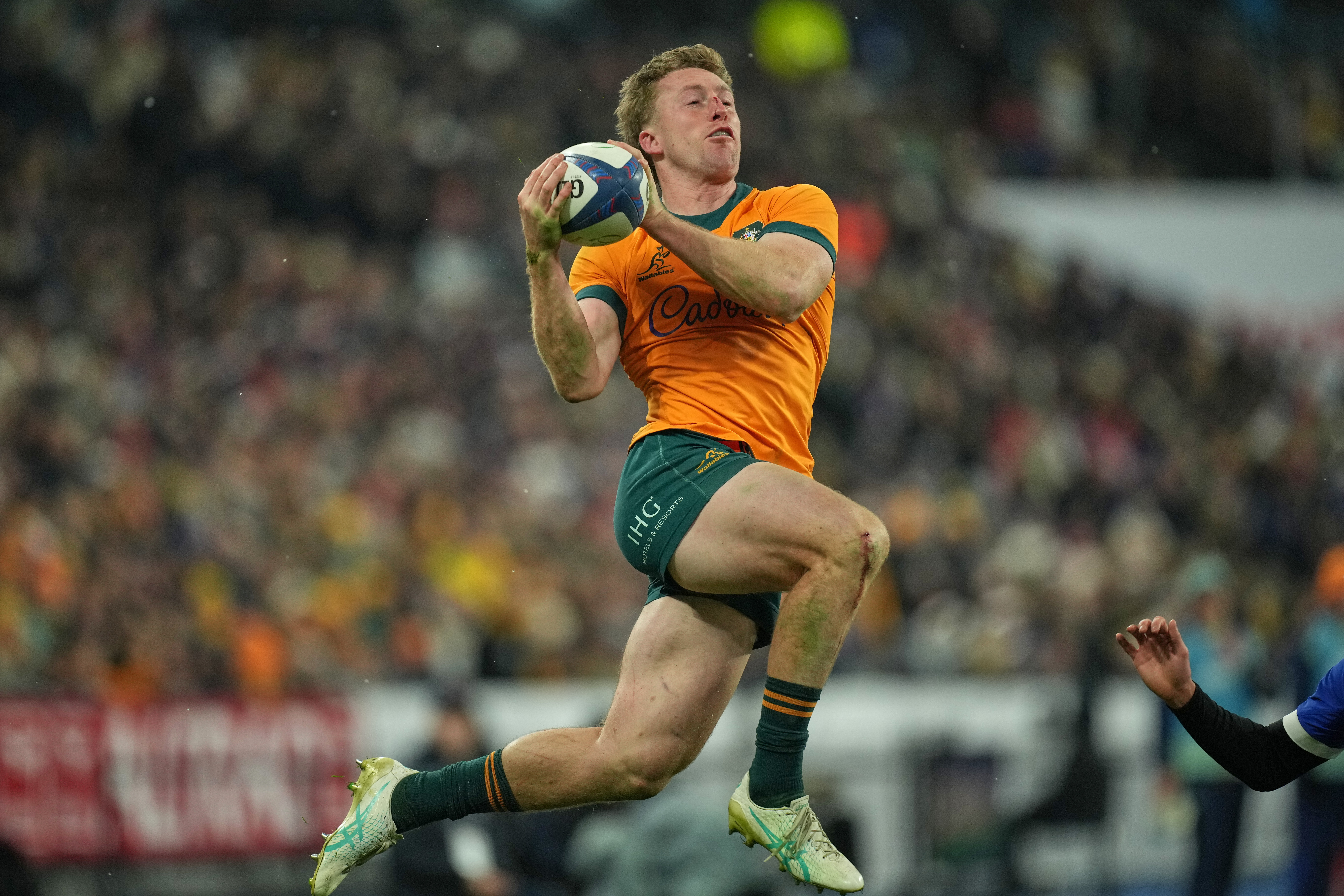 Australia's Harry Potter catches the ball during the rugby union Nations Series match between France and Australia in Saint-Denis, outside Paris, Saturday, Nov. 22, 2025.