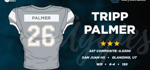 Tripp Palmer