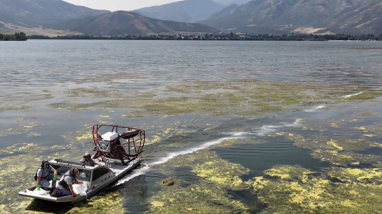 Brigham City water officials conduct algal bloom treatment at Mantua Reservoir in Mantua on July 30, 2024. Money to help turn the area into a state park is included in Gov. Spencer Cox's proposed 2026 fiscal year budget.