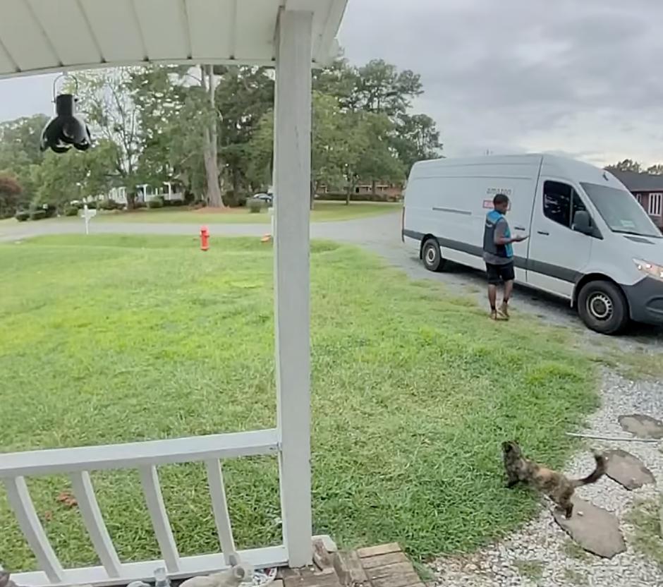  Have You Seen This? Amazon delivery driver makes new furry friend
