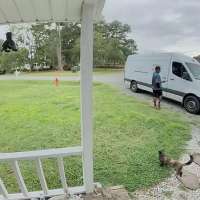 Have You Seen This? Amazon delivery driver makes new furry friend