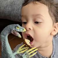 Have You Seen This? Toddler prefers food served on dinosaur claws