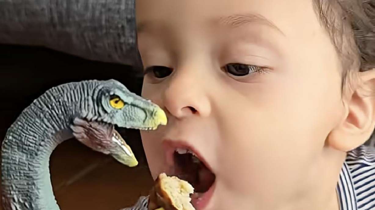 As long as this kid's eating, I imagine his parents are happy to continue the strange dino-feeding tradition.