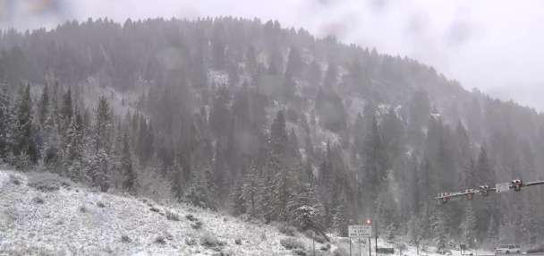 Top Features story anchor