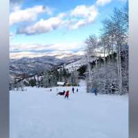 6-year-old expertly navigates close call with a deer on the slopes