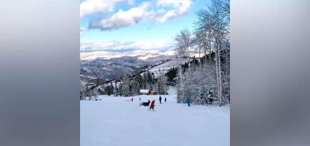 6-year-old expertly navigates close call with a deer on the slopes