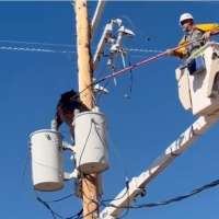 Have You Seen This? Arizona lineman coaxes bear from atop utility pole