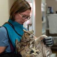 An owl fell into a concrete mixer in southern Utah. Thanks to caregivers, its future is bright
