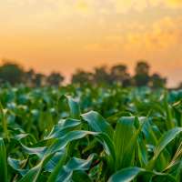 Utah farmers may miss out on federal aid amid economic struggles