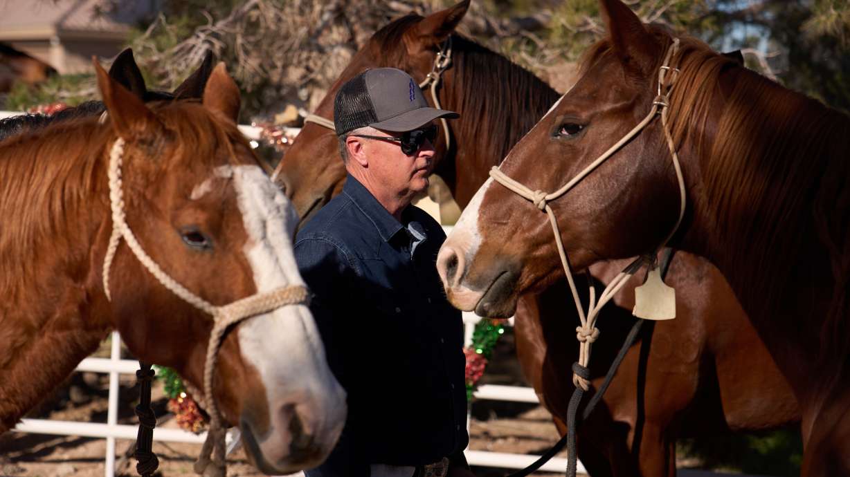 Jeff Todd holds horses before loading them up in a horse trailer at the Fly Again Ranch Horse Boarding and Hotel,Tuesday, Dec. 9, 2025, in Las Vegas.