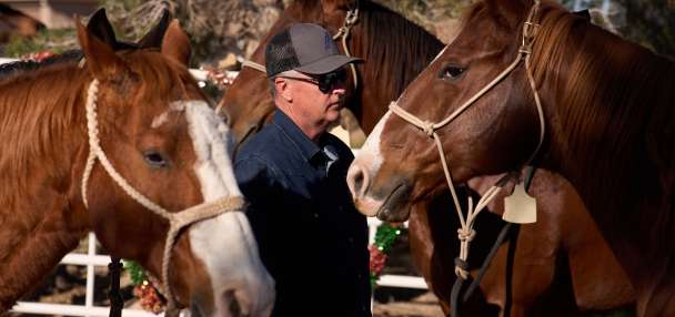 Threat of equine virus looms over nation's largest rodeo event in Las Vegas