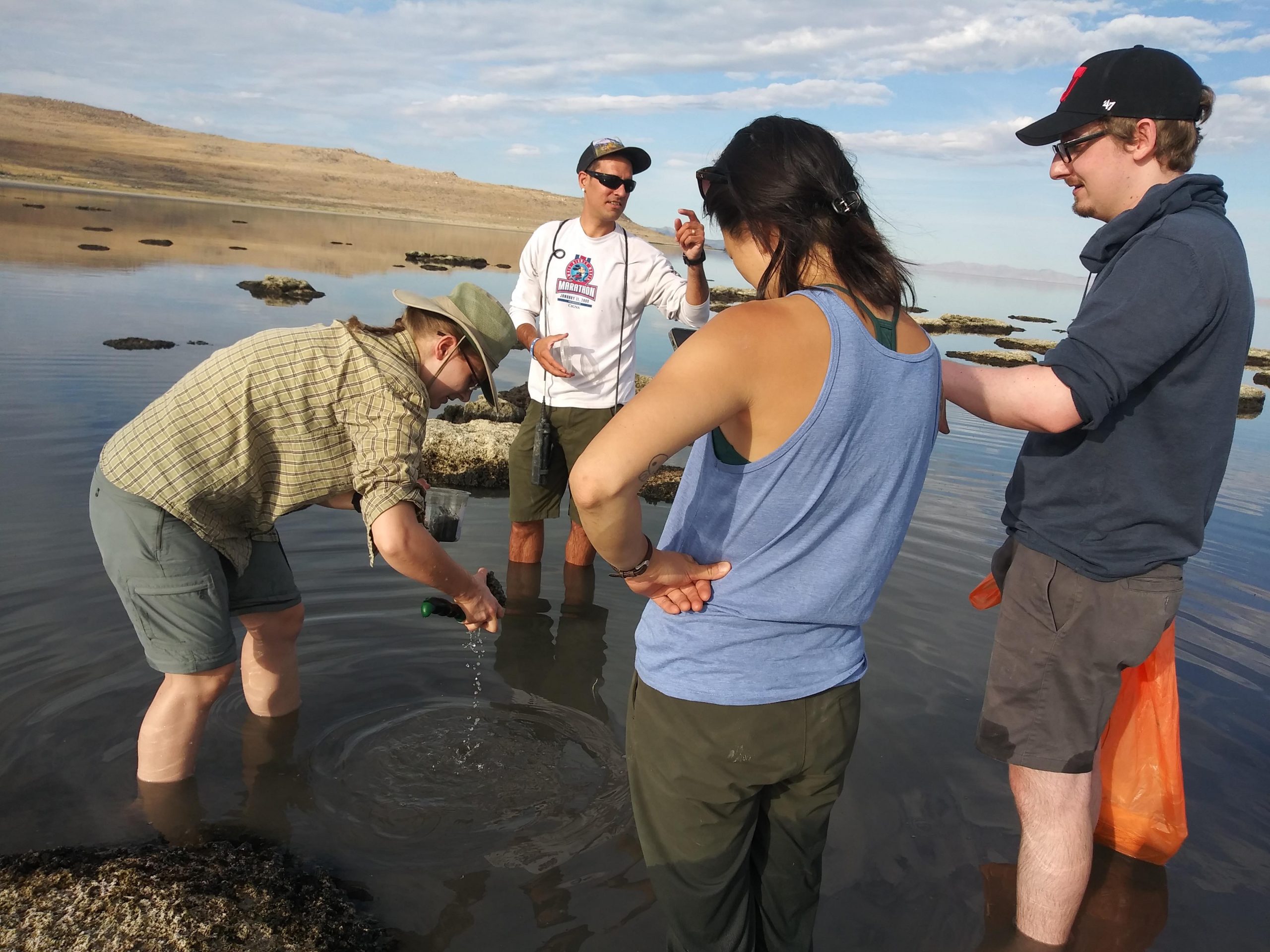 Great Salt Lake's latest species discovery gets a name fit for the lake's native history
