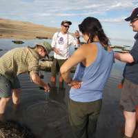 Great Salt Lake's latest species discovery gets a name fit for the lake's native history