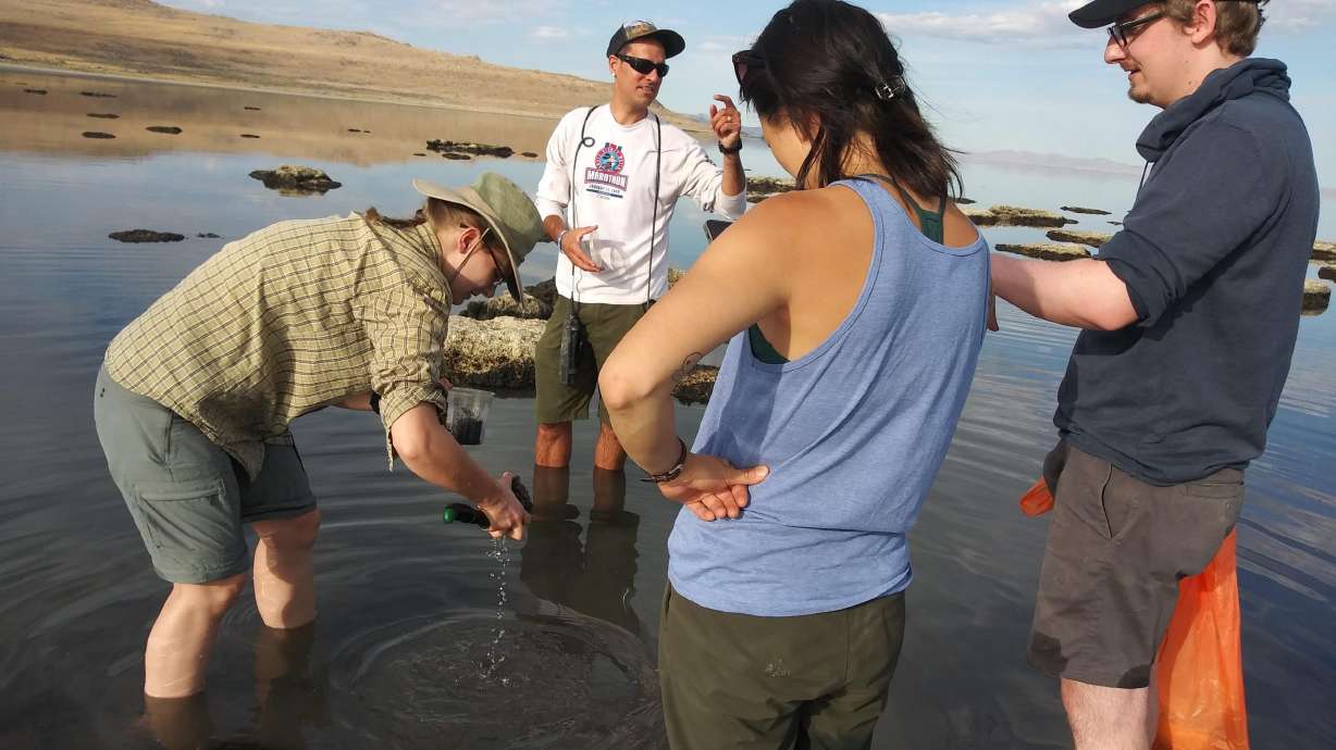 An undated photo of researchers collect sediment samples on the Great Salt Lake in search of nematodes. A study led by Utah researchers published last month outlined a previously unknown nematode species living in the lake.