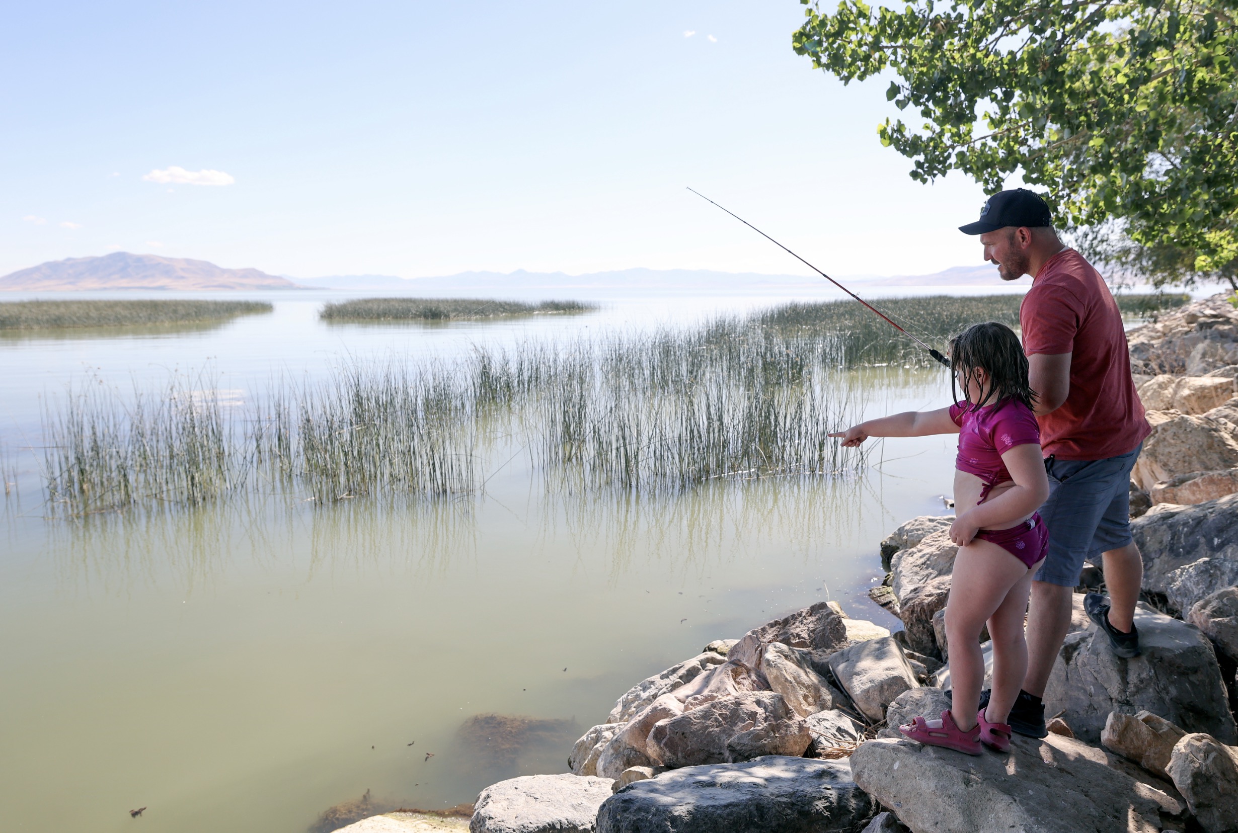 Utah added 11.6 million fish in 2025. Here's why it was slightly lower than last year