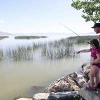 Utah added 11.6 million fish in 2025. Here's why it was slightly lower than last year