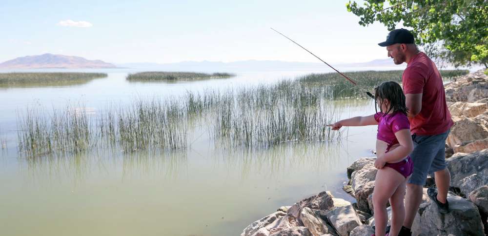 Utah added 11.6 million fish in 2025. Here's why it was slightly lower than last year