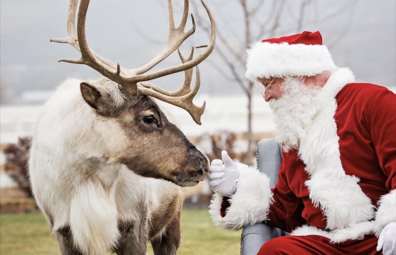 Twilight & Tinsel and all your holiday shopping at Station Park