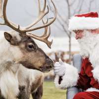 Twilight & Tinsel and all your holiday shopping at Station Park