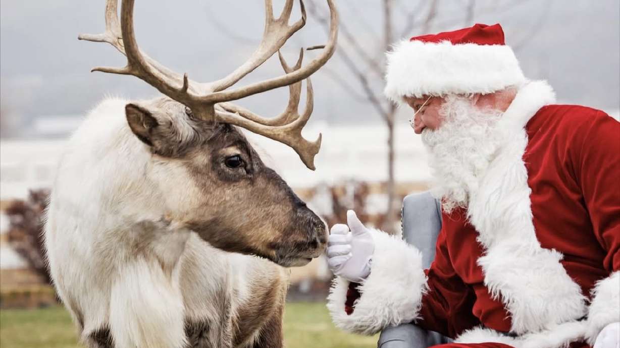 Twilight & Tinsel and all your holiday shopping at Station Park