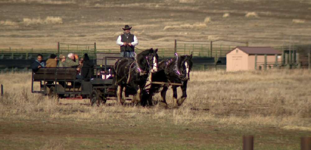 Warm weather impacts elk-viewing sleigh rides in Cache Valley