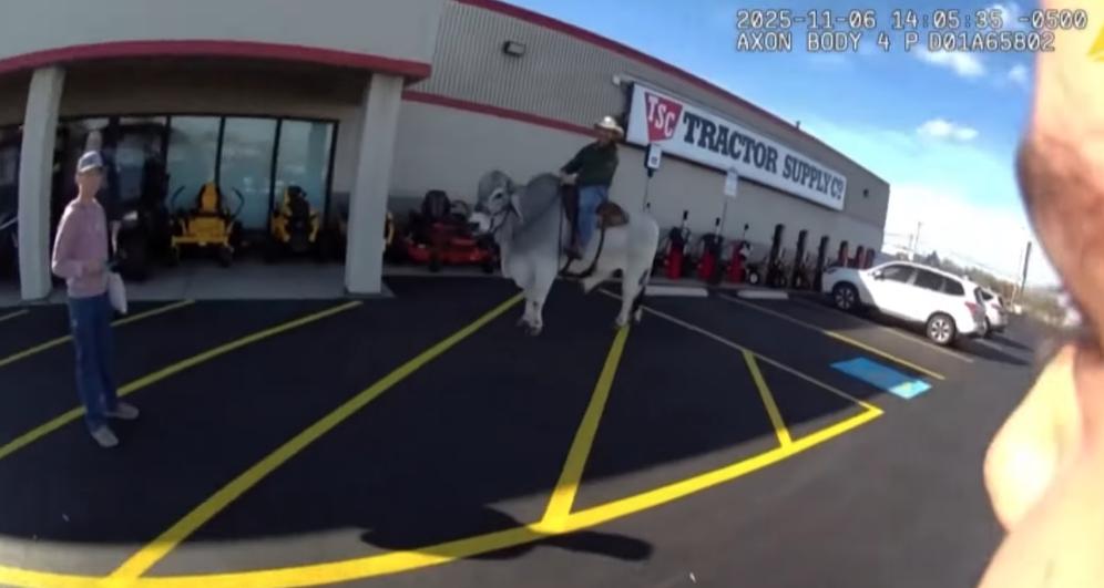 Have You Seen This? Man rides bull in parking lot