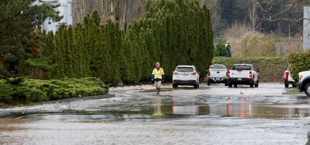 Top U.S. story anchor