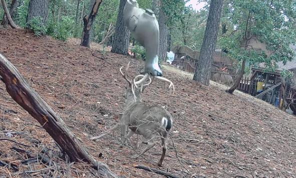 Top Features story anchor