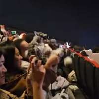 Have You Seen This? Dogs take over theater for 'Zootopia' screening