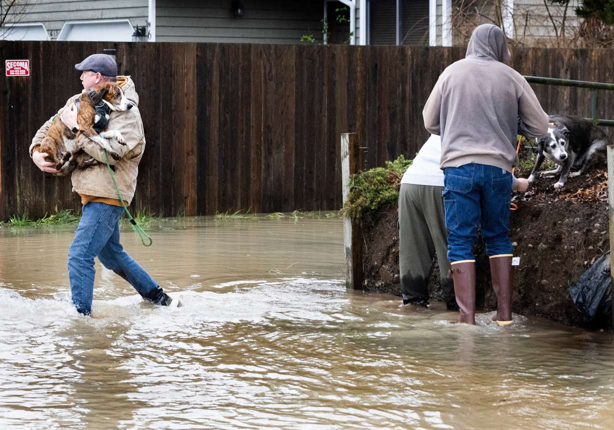 Gregor Kelley carries a dog to safety as Amber Franz and Kevin Johnson help another dog stranded by the flooding after learning about the lost dogs on Facebook, Tuesday, in Pacific, Wash. One person has been confirmed dead after historic flooding in Washington state triggered by heavy rains.