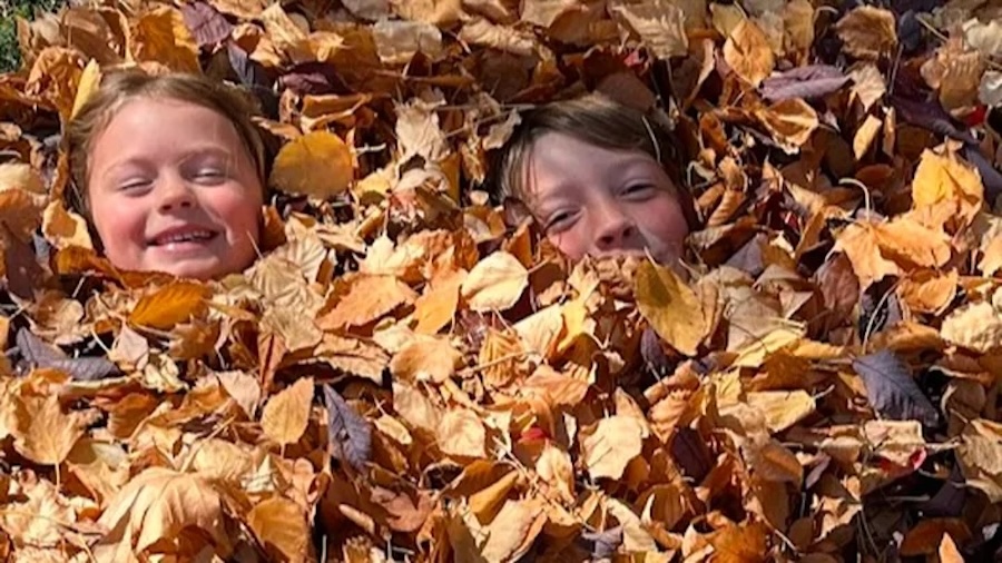 'A long road to recovery': New details released on Idaho siblings critically injured by falling trees