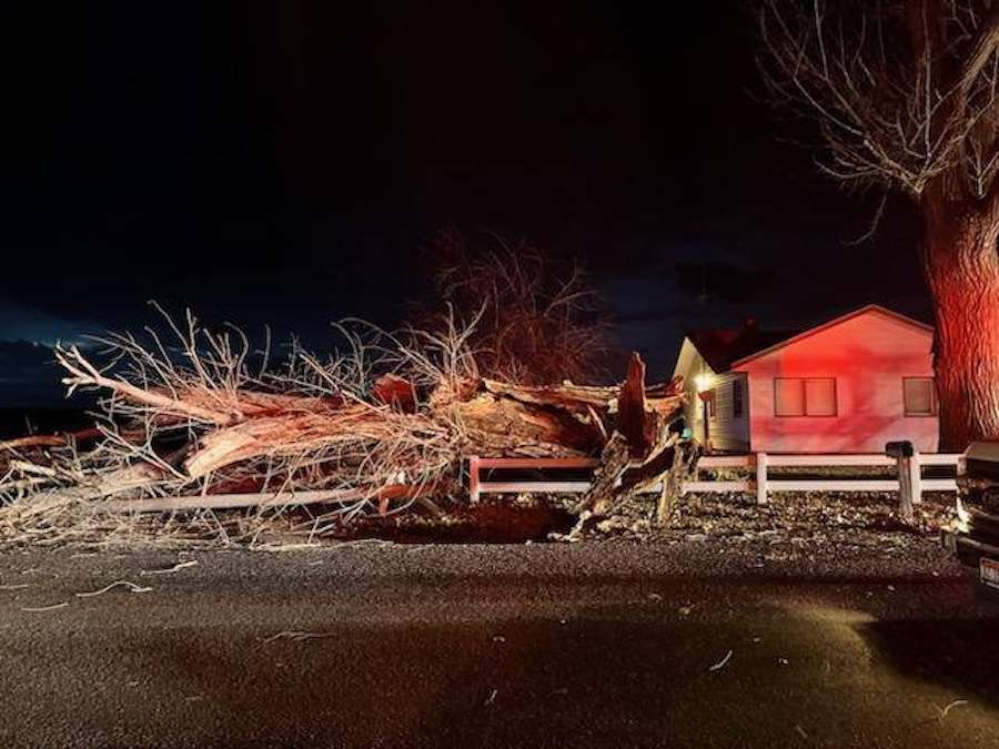 A downed tree outside a home in Twin Falls, Idaho, Wednesday. Viviana and Porter French were critically injured when trees and power lines fell on them while waiting for a school bus.