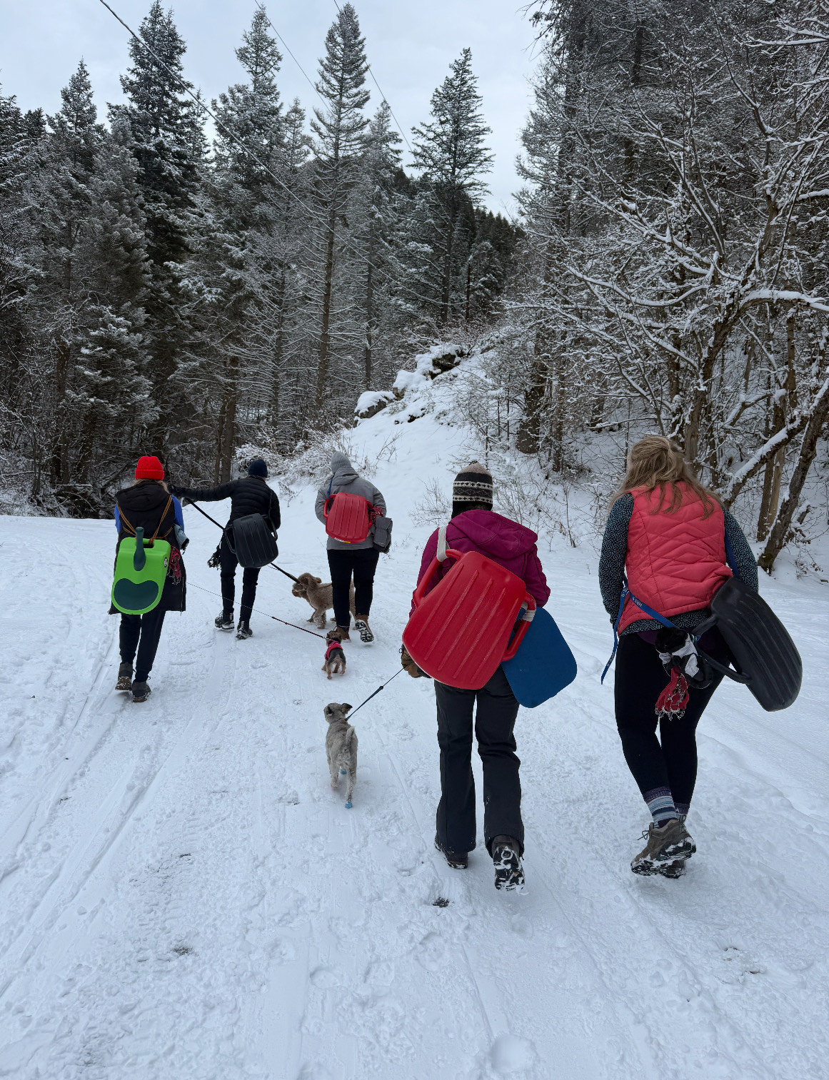 Every Tuesday in the winter (snow permitting), seven Salt Lake County women, all over the age of 40, go sledding together.