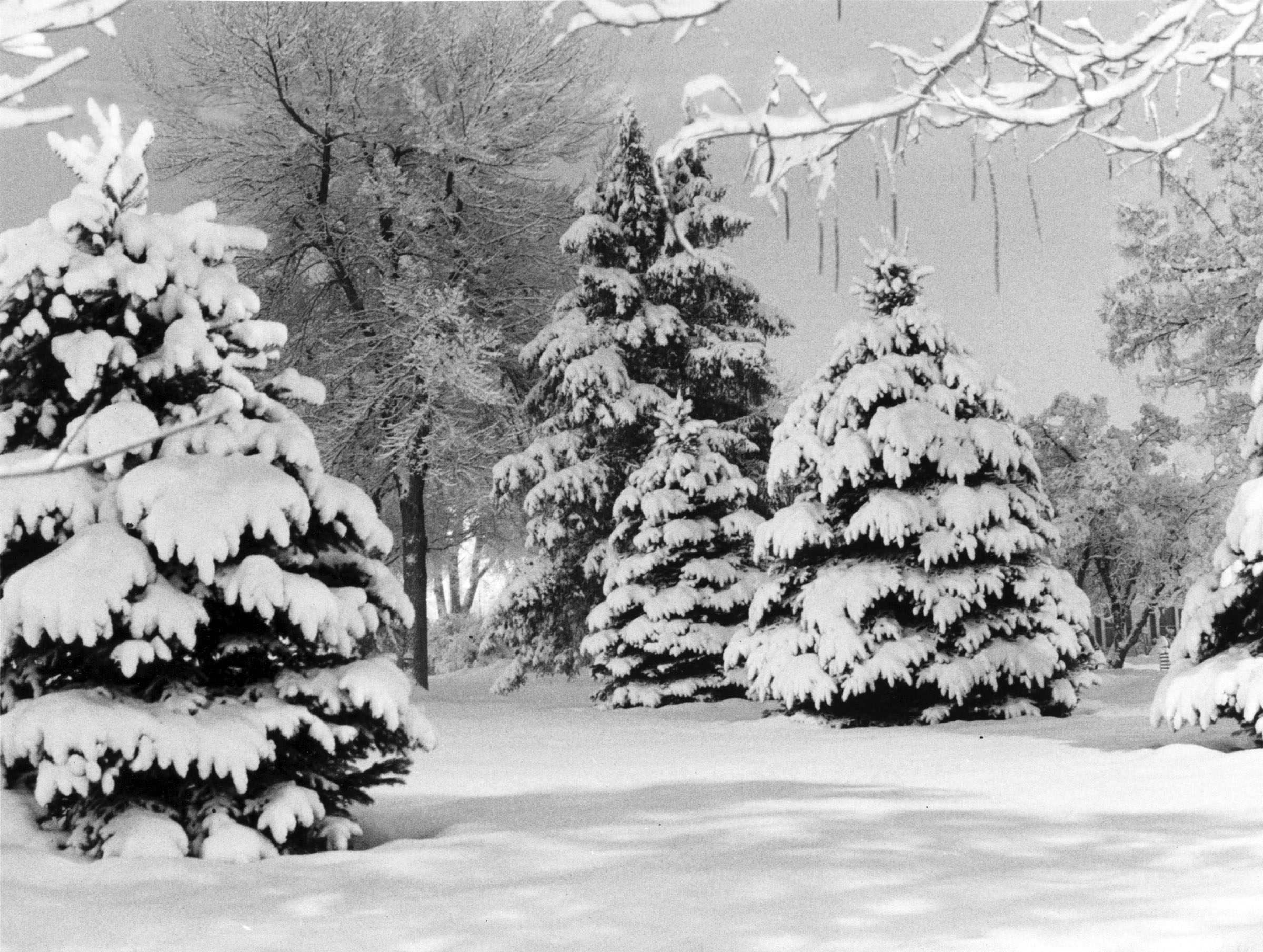 A snowstorm hit Salt Lake City on Feb. 17, 1984, leaving thick snow.