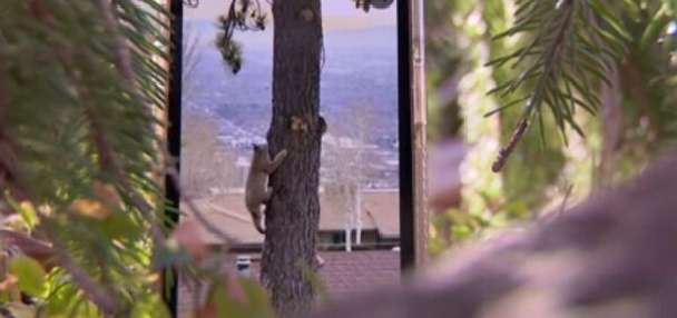 Top Utah story anchor