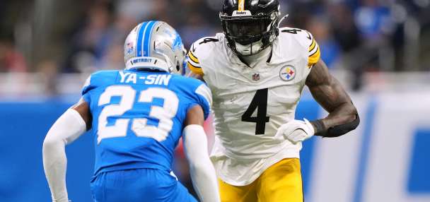 Steelers receiver DK Metcalf swipes at Lions fan leaning over railing in front row