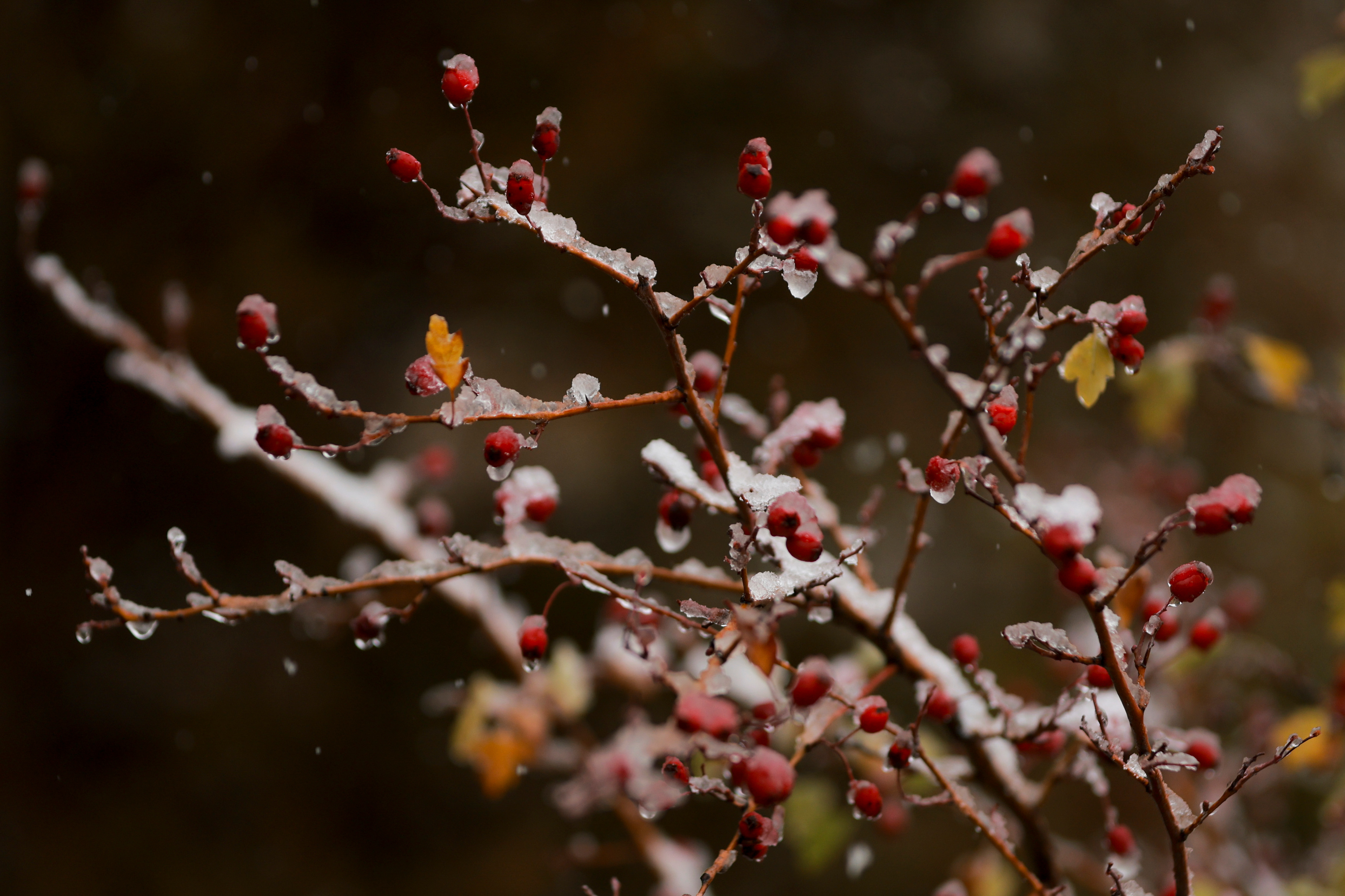 Salt Lake City won't break this 135-year-old record, but the similarities are striking