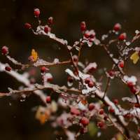 Salt Lake City won't break this 135-year-old record, but the similarities are striking