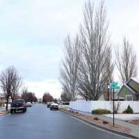 Man killed in South Jordan shooting, 1 in custody