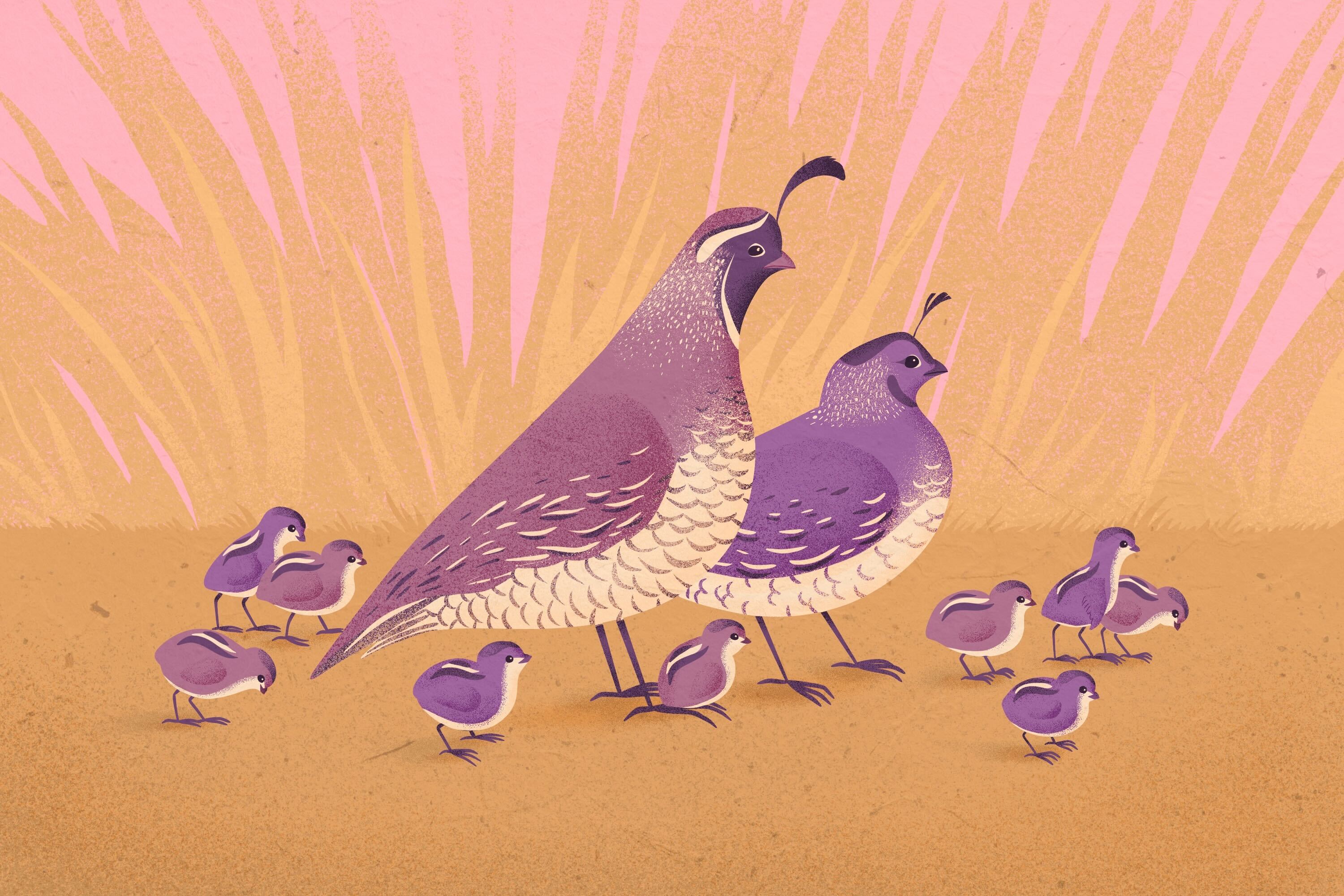 Money to help is at the heart of family-friendly policies for 2026