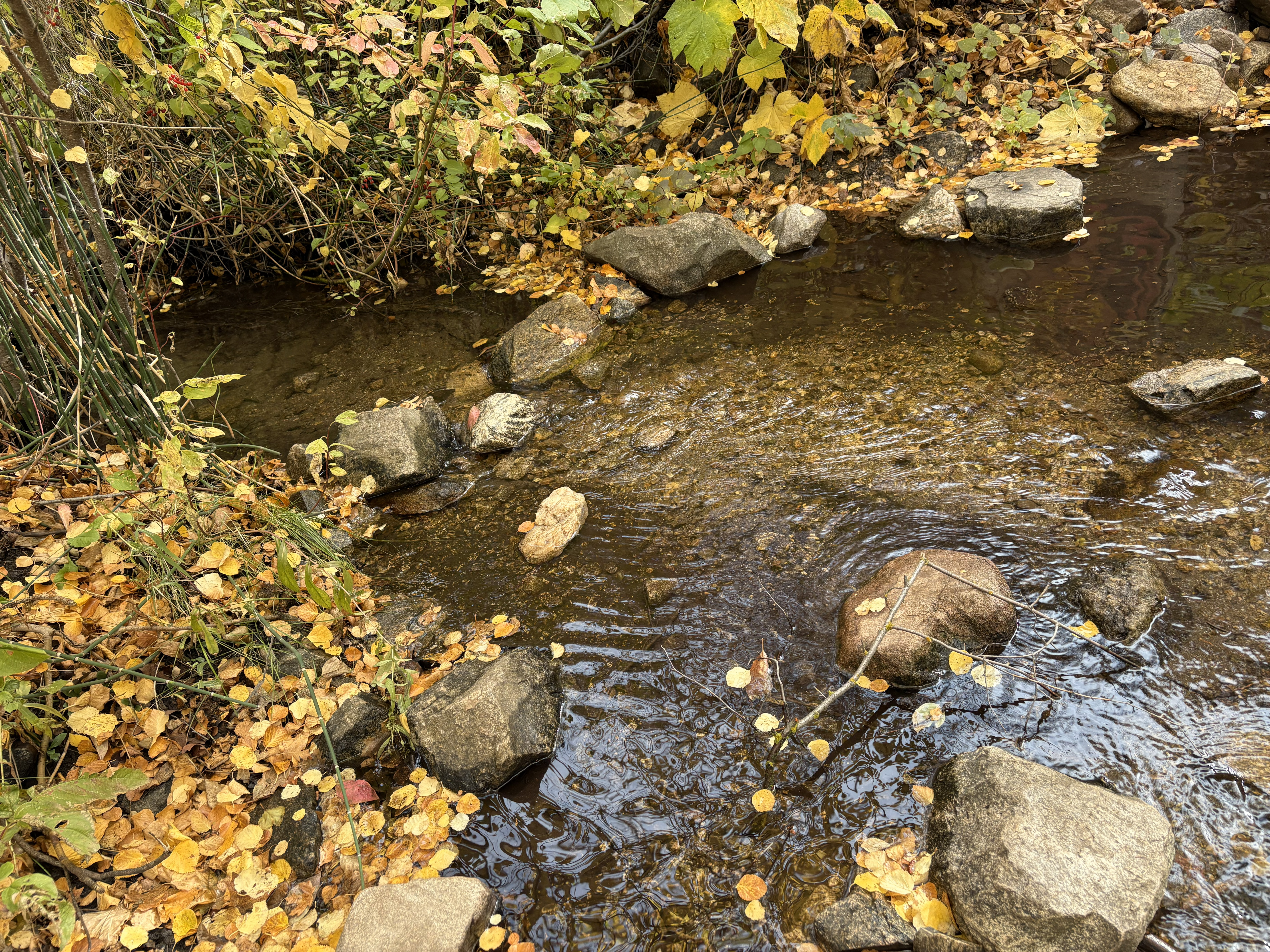 Beus Creek, in Weber County.